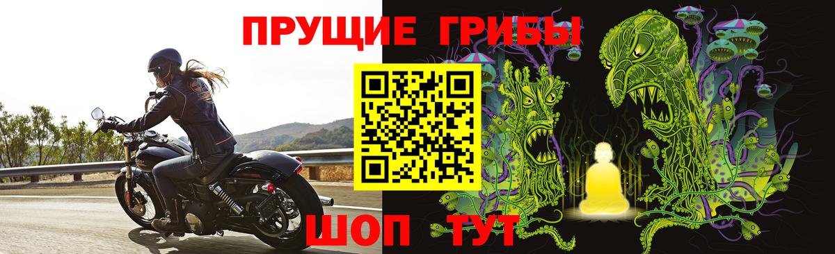 Псилоцибиновые грибы мухоморы Шелехов