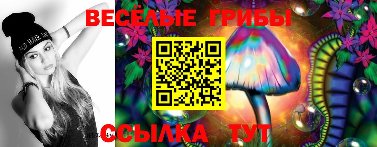 Галлюциногенные грибы прущие грибы  Вход с VPN  Галлюциногенные грибы ЛСД  Шелехов 